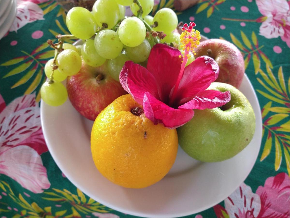 Pousada Bahia Boa 마라우 외부 사진